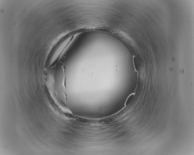 X0000074930540200609291759