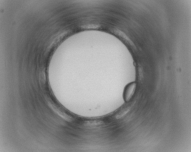 X0000074930541200609291759