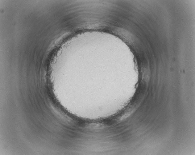 X0000074930542200609291759