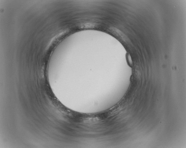 X0000074930543200609291759