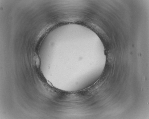 X0000074930544200609291800