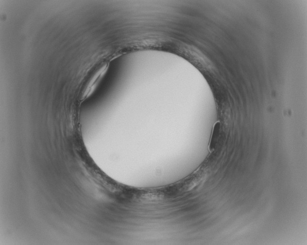 X0000074930546200609291800