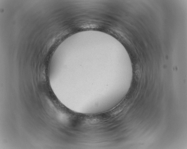 X0000074930547200609291800