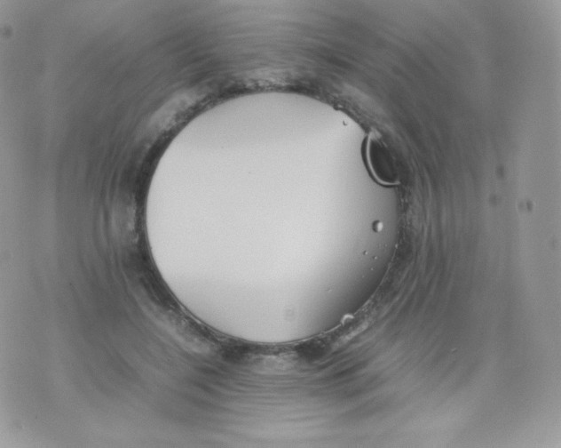 X0000074930548200609291800