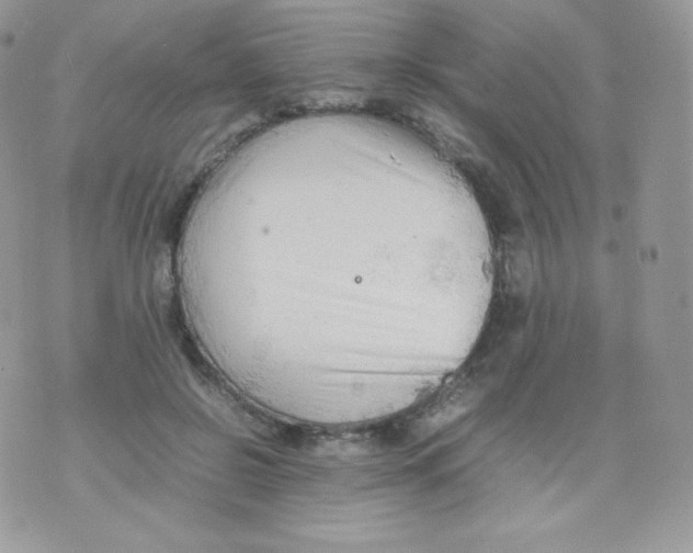 X0000074930550200609291800