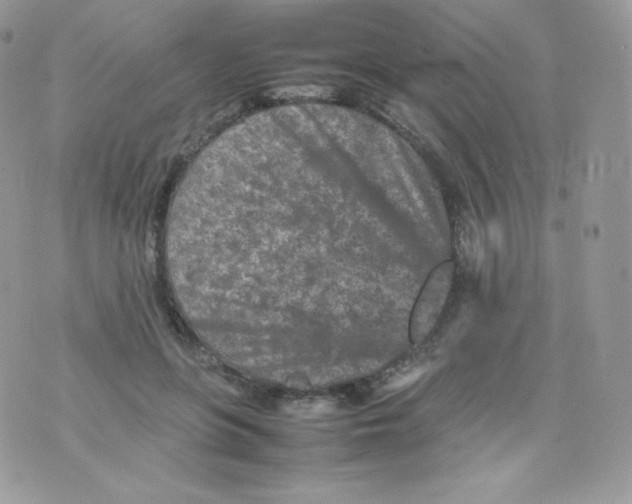 X0000074930551200609291800