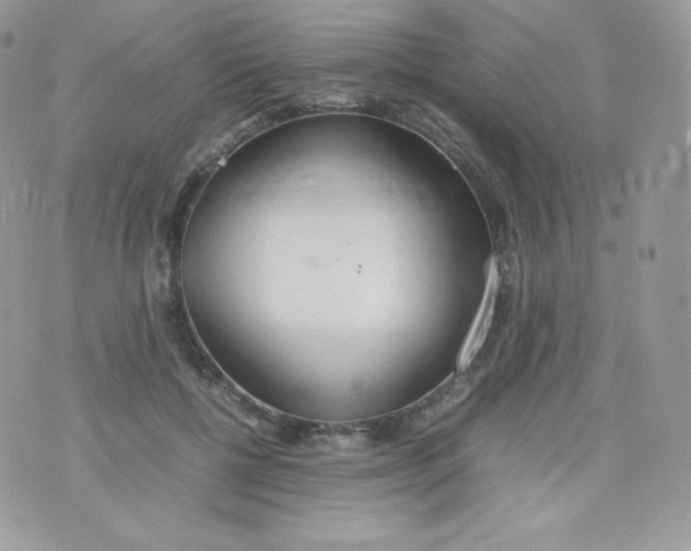 X0000074930552200609291800