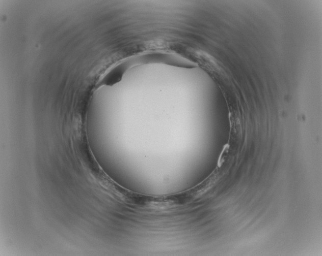 X0000074930556200609291800