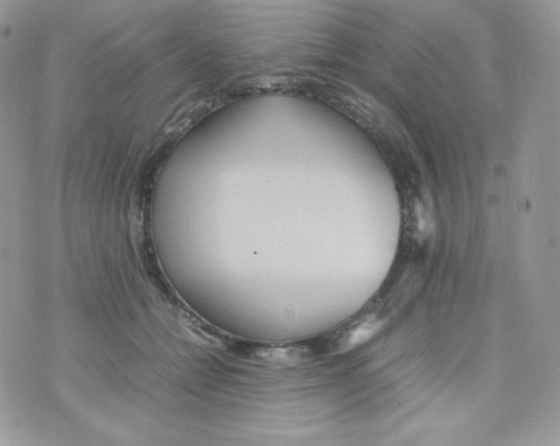 X0000074930558200609291800