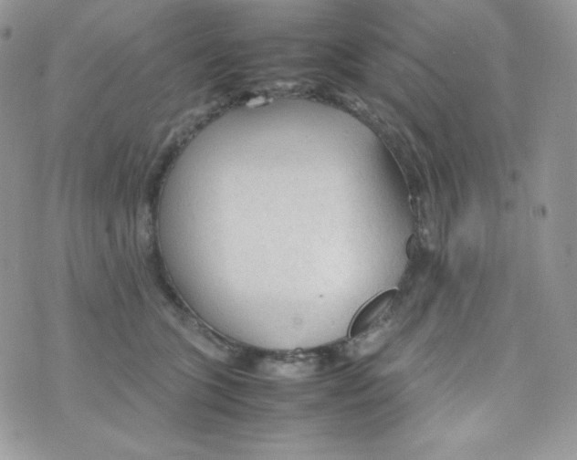 X0000074930563200609291800