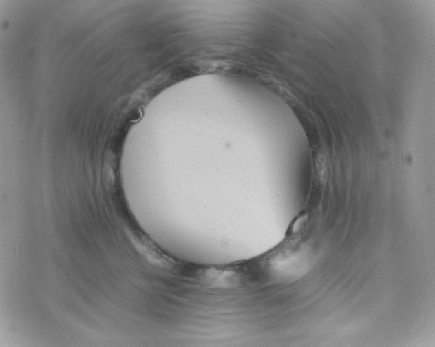 X0000074930570200609291800