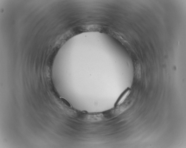 X0000074930571200609291800