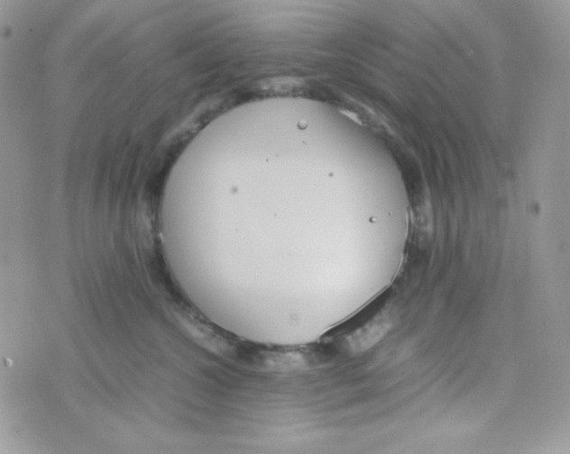 X0000074930572200609291800