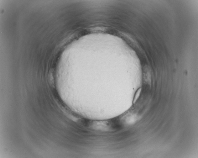 X0000074930573200609291800