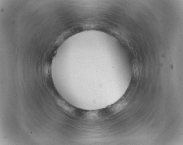 X0000074930574200609291800