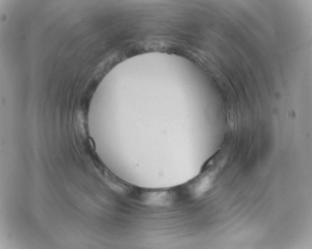 X0000074930575200609291800