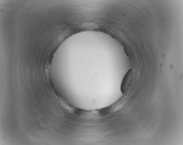 X0000074930576200609291800