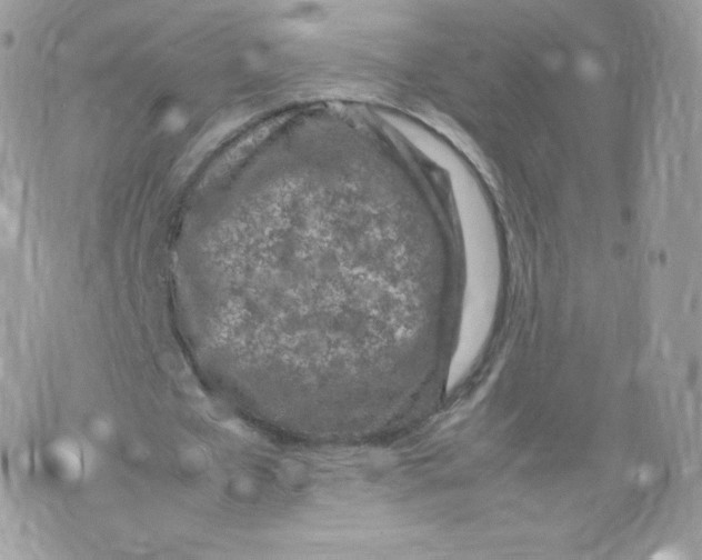 X0000074930577200609291759