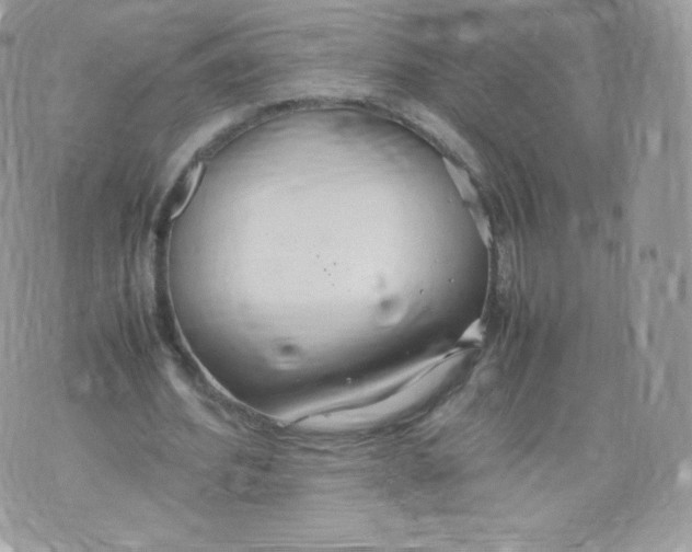 X0000074930580200609291759