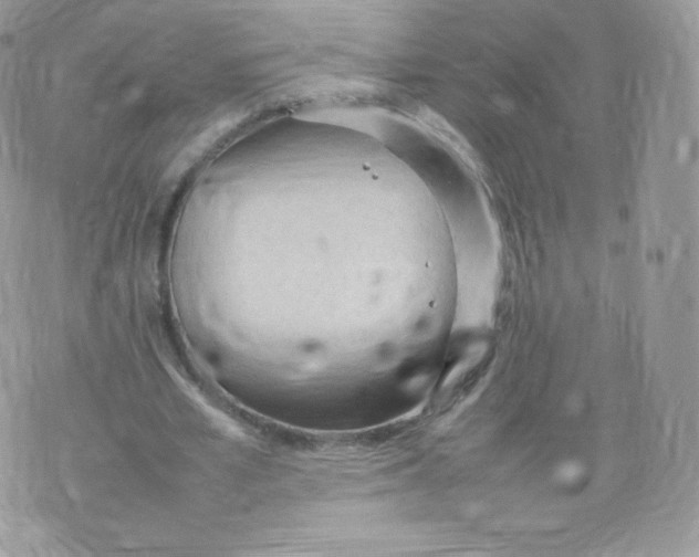 X0000074930581200609291759