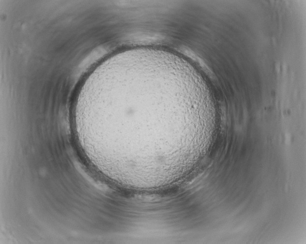 X0000074930582200609291759