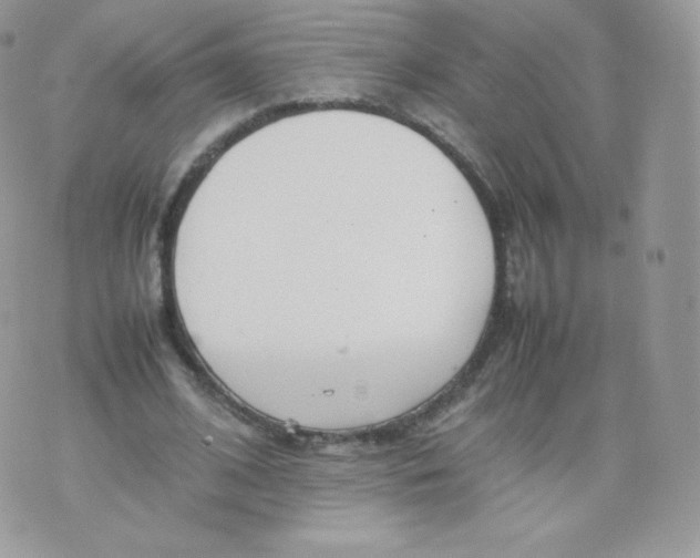 X0000074930584200609291759