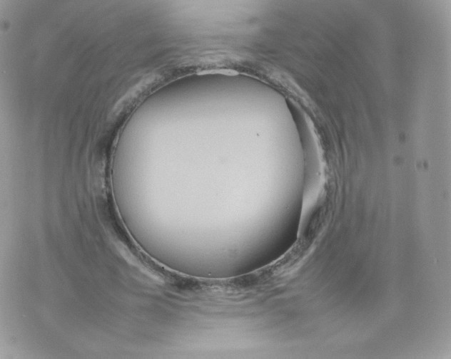 X0000074930585200609291759