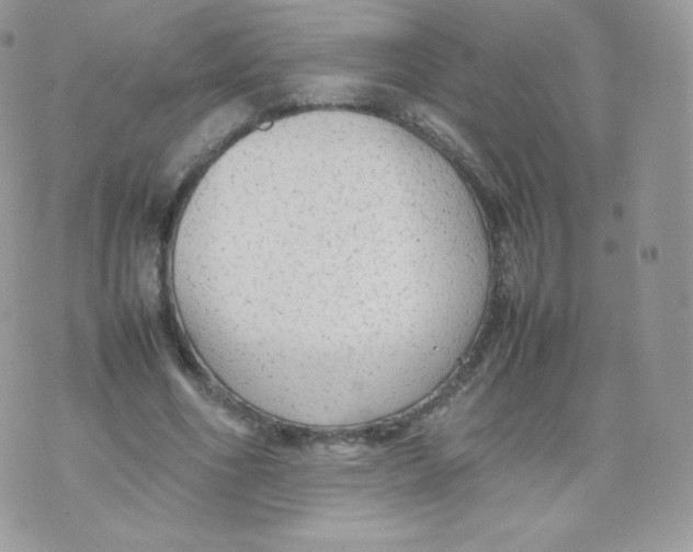 X0000074930586200609291759