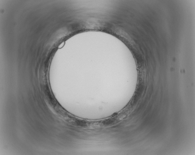 X0000074930587200609291759