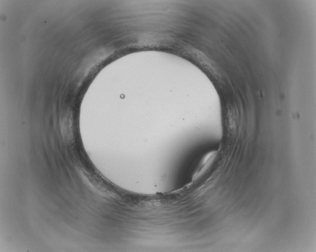 X0000074930588200609291759