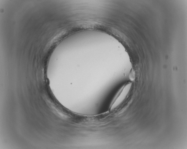 X0000074930589200609291759