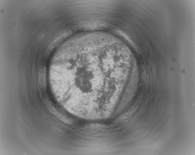 X0000074930590200609291759