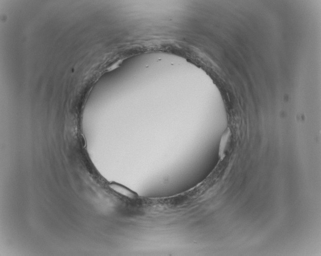 X0000074930593200609291759