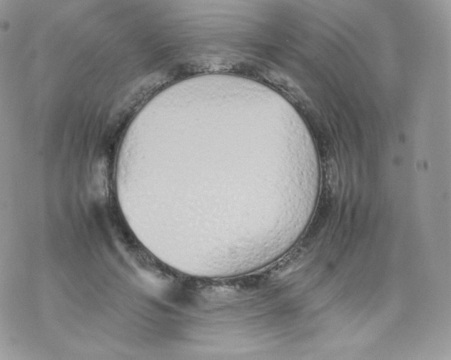 X0000074930594200609291759