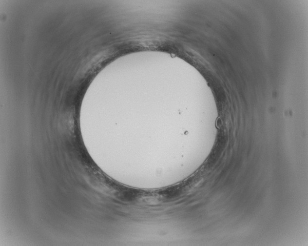 X0000074930595200609291759