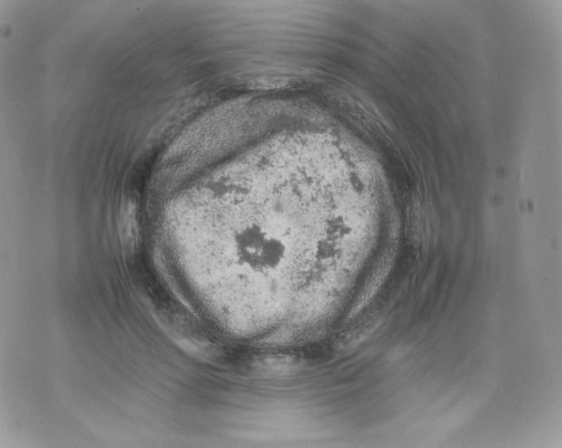 X0000074930598200609291759