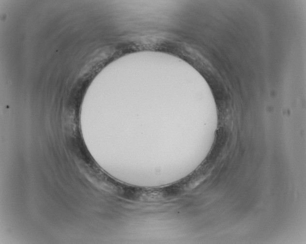 X0000074930599200609291759