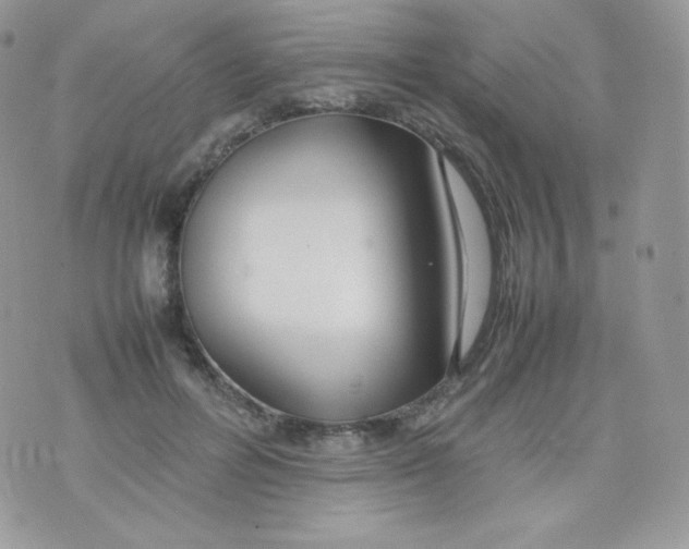 X0000074930600200609291759