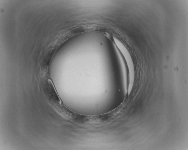 X0000074930601200609291759