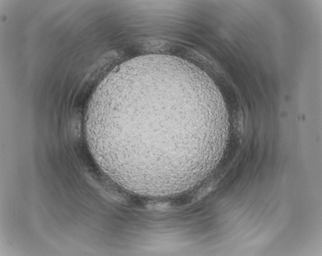 X0000074930602200609291759