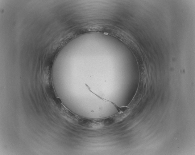 X0000074930604200609291759