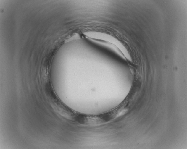 X0000074930605200609291759