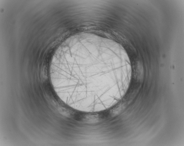 X0000074930606200609291759