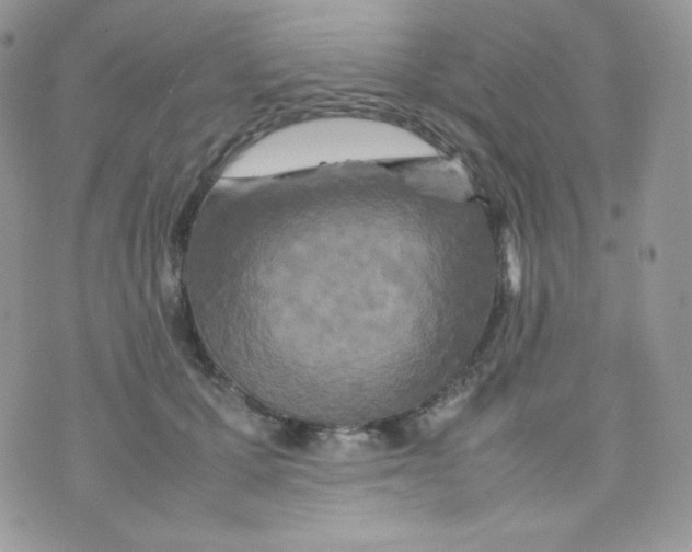 X0000074930607200609291759