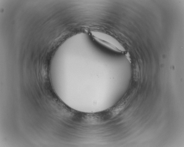 X0000074930608200609291759