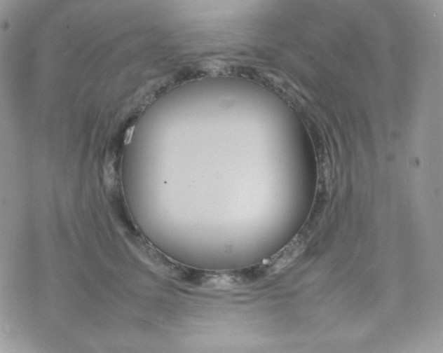 X0000074930611200609291759