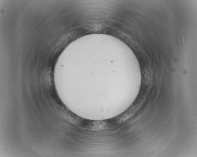 X0000074930612200609291759