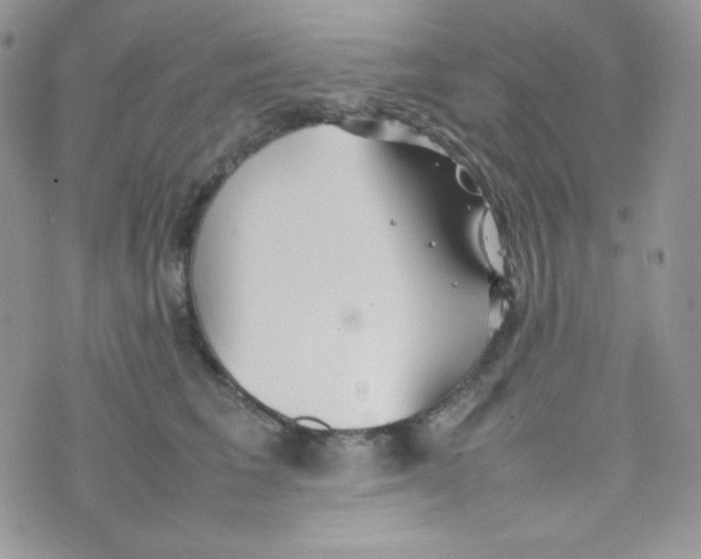 X0000074930613200609291759