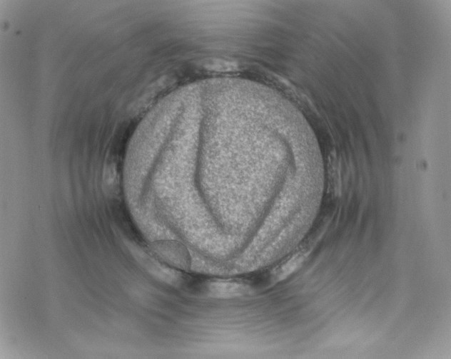 X0000074930614200609291759