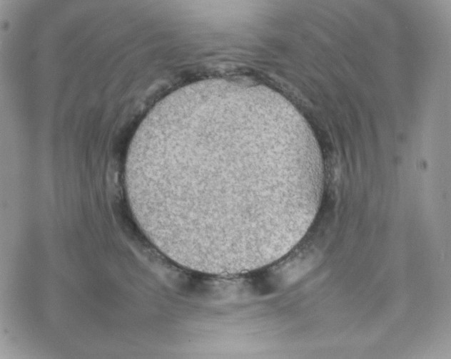 X0000074930615200609291759